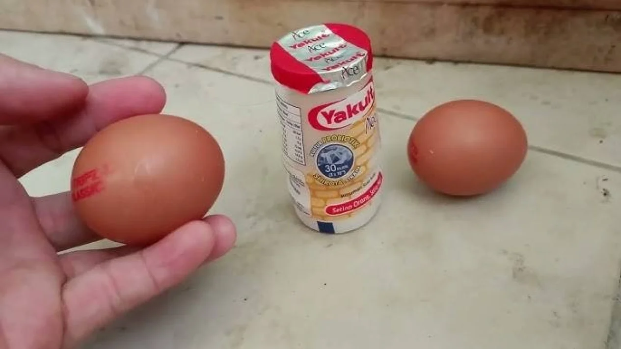 Cara Lengkap Buat Pupuk Organik Cair dari Telur dan Yakult