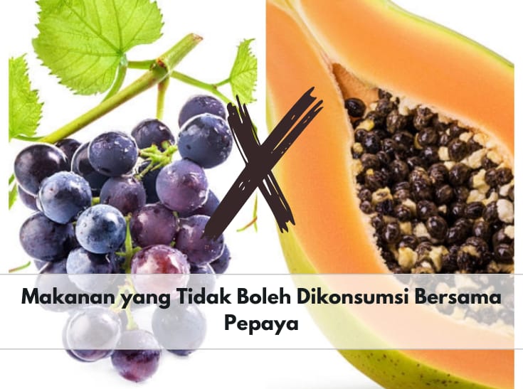 Ini 10 Makanan yang Tidak Boleh Dikonsumsi Bersama Pepaya